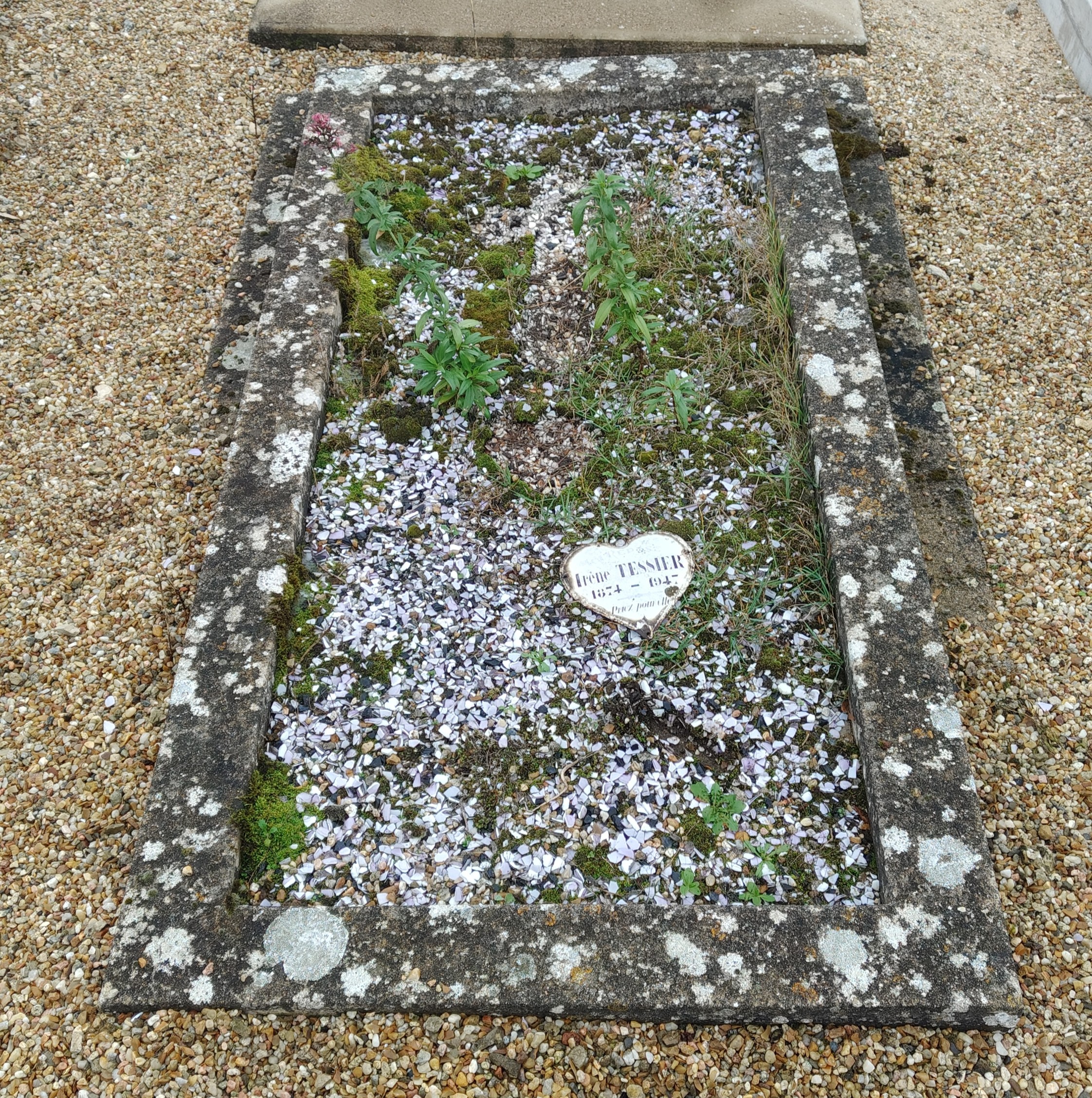 Tombe d'Irène TESSIER, située dans le cimetière communal de Yèvre-le-Chatel (45). La photo est prise avant le nettoyage, elle est sale, plein de lichen et de mousse